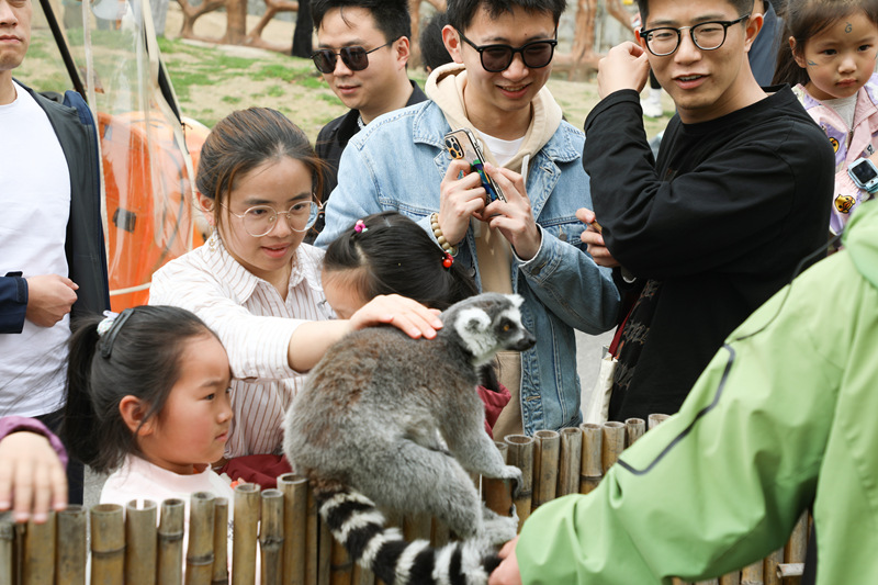 南通森林野生動(dòng)物園清明客流攀升 萌獸首秀添春趣?
