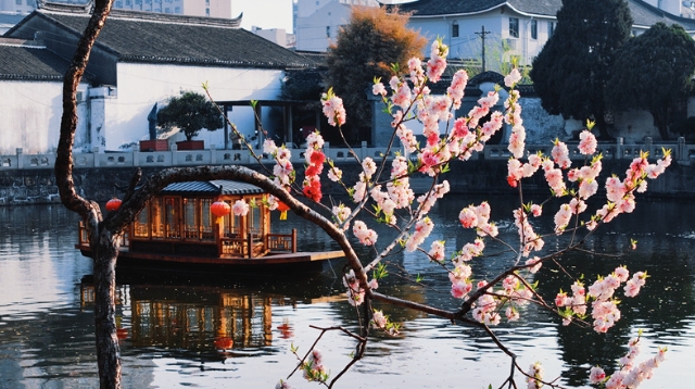 黛瓦鎖春秋，曲廊浮云影 春日水繪園：賞春好去處